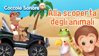 I versi degli animali 🐒 🐘 🦜  Coccole Sonore [upl. by Floridia]