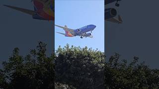 Southwest Boeing B737 landing at LAX [upl. by Ilek]