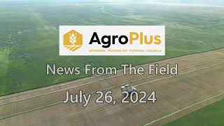 AgroPlus News from the field July 26 2024 [upl. by Otrebide]