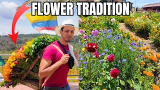 The flower carrying tradition of Santa Elena Colombia  Spanish Comprehensible Input [upl. by Mariko]