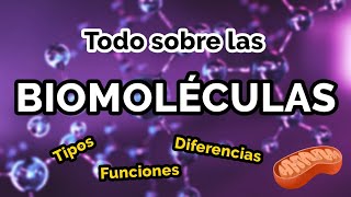 TODO sobre las BIOMOLÉCULAS 🧬📚 Tipos funciones ejemplos [upl. by Canotas]