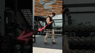 The best way to do biceps curls [upl. by Alilad]