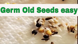 How to Germinate old seeds [upl. by Derina]