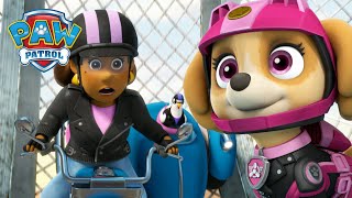 Moto Pups save Mayor Goodway from the Ruff Ruff Pack  PAW Patrol  Cartoons for Kids Compilation [upl. by Kironde]