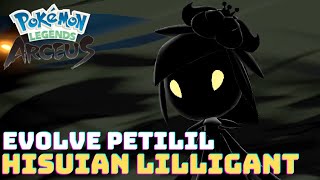 How to Evolve Petilil into Hisuian Lilligant in Pokémon Legends Arceus [upl. by Emersen248]