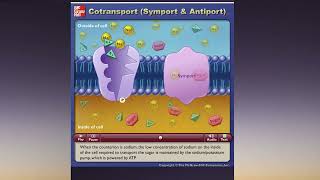 Cotransport Symport amp Antiport McGraw Hill [upl. by Lise]