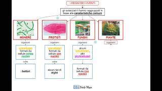 videomappa  scienze  2 i regni dei viventi [upl. by Dulla]