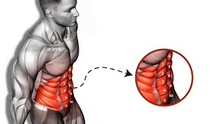 Six pack abdominal exercises Fast results 100٪ [upl. by Levina488]