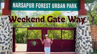 Narsapur Forest Urban Park near Hyderabad  One day short trip🤘🏻 [upl. by Vashti613]