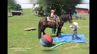 Sully Lot 7 Horsemans Mission Sale 2024 [upl. by Nugent795]