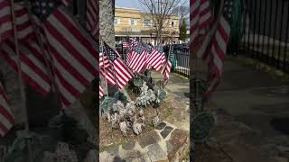 American flags blowing in the wind [upl. by Delanos]