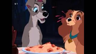 DISNEY VINE  DOG EATS SPAGHETTI [upl. by Meadow153]