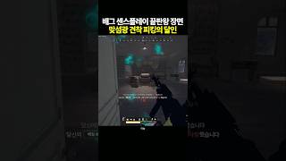 맞섬광 견착 피킹 지리는 센스플레이 [upl. by Ellehcan]