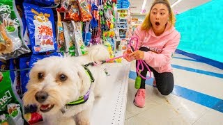 Buying my puppy EVERYTHING she touches [upl. by Cassella698]