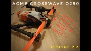 VORSTELLUNG ACME Zoopa Crosswave Q290 Racedrone HD [upl. by Pownall9]