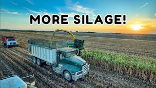 Chopping Forage Sorghum For SILAGE  Kansas Farming 2024 [upl. by Idelia461]