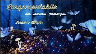 Largo Cantabile  Frederic Chopins  Eveline Hoffmann [upl. by Anaeerb]