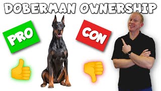 Doberman Pinscher Pros and Cons  From an ACTUAL Owner [upl. by Lise]