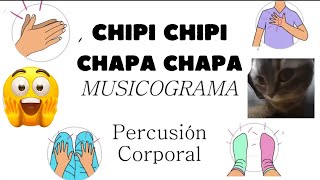 🎵 CHIPI CHIPI CHAPA CHAPA DUBIDUBIDU  MUSICOGRAMA  Percusión Corporal 🎵 [upl. by Eniarral]