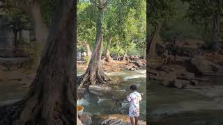 Hogenakkal falls falls shorts [upl. by Aemat764]