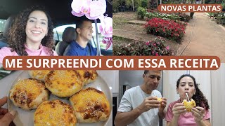 EM BUSCA DA GRAMA PARA O TERRENO NOVAS PLANTAS HAMBÚRGUER CASEIRO FÁCIL E MAIS [upl. by Eikciv]