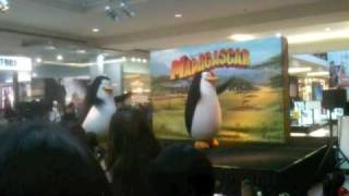 Madagascar 2 Live [upl. by Raul830]