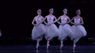 SWAN LAKE  Little Swans Francesca Hayward  Meaghan Grace Hinks Emma Maguire Yasmine Naghdi [upl. by Rivard]