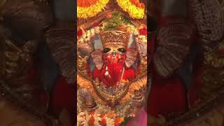 Shri Siddhivinayak LIVE darshan today  Ganpati Bappa Morya  trending shorts hindu hinduismtrc [upl. by Ativel205]