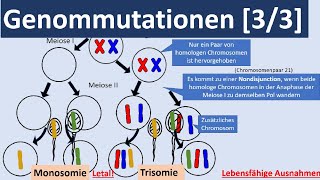 Genommutationen 33  Polyplodie Aneuploidie autosomale  gonosomale Genommutationen Genetik [upl. by Annhoj]