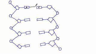 335 Draw a simple diagram of DNA structure [upl. by Ange]