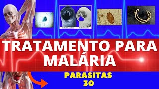 TRATAMENTO PARA MALÁRIA  PARASITOLOGIA  INFECTOLOGIA [upl. by Nalyac]