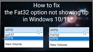 How to Fix the FAT32 Option Not Showing Up in Windows 1011 [upl. by Indnahc998]