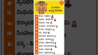 12 రాశుల అదృష్ట దేవతలు  Sri Diya Telugu [upl. by Flem]