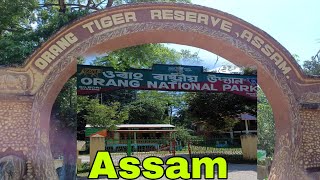 Orang National Park।Orang Tiger reserve।Assam।Explore the Assam [upl. by Ettennaj]