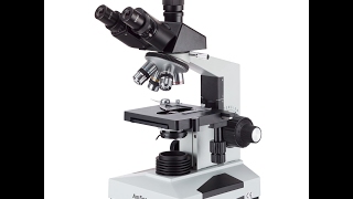 AmScope T490B Compound Trinocular Microscope 40X2000X Magnification [upl. by Fe]