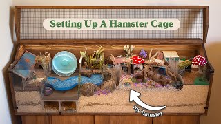 Set Up A Hamster Cage With Me  Natural Woodland Garden [upl. by Inor]