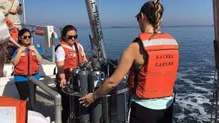 UMCES annual plankton research cruise [upl. by Hedvah]