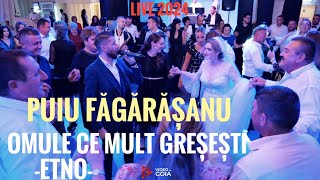 Puiu Fagarasanu🛑Omule ce mult greșești💯Live 2024 [upl. by Kcirdneked]