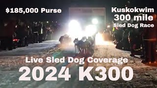 Watch The Thrilling K300 Live 23 Teams Compete For A 185000 Purse In the 45th K300 Sled Dog Race [upl. by Geof]