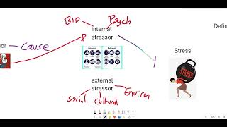 Acute vs Chronic stress  VCE U3 Psychology [upl. by Ydnamron]