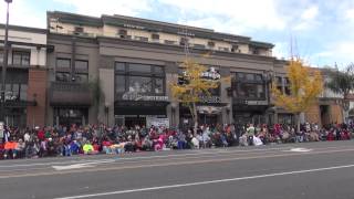 2013 Tournament of Roses Parade [upl. by Wesa]