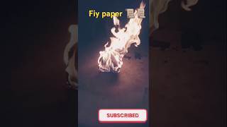 Fly paper 🗞️🗞️funny short video 🚀🚀🛩️ [upl. by Dielu]