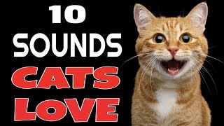 10 Sounds Cats Love To Hear The Most [upl. by Lleuqram]