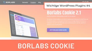 Das beste DSGVO Plugin Einblick in Borlabs Cookie  WordPress Plugins 4 [upl. by Suirtimed579]