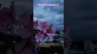 వర్షంలో Relaxing Rain Sounds for Sleeping 😴and osmclimaterainnaturerainsoundsbgmclimateshort [upl. by Killarney]