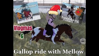 Gallop ride with Mellow [upl. by Drofnats]