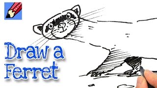 How to draw a Ferret Real Easy [upl. by Bluma883]