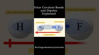 Polar Covalent Bonds Explained [upl. by Eachern]