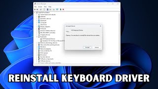 How To Reinstall Keyboard Driver In Windows 11 amp 10 [upl. by Lockhart]