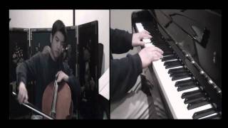 Adele Someone Like You  Cello Cover [upl. by Elawalo]